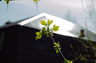 Начало апреля Красноярск проведет со спокойной погодой