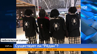 В Красноярске для школьников провели классные часы, где обсуждали движение «Рёдан» 