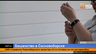 Многоэтажку в Сосновоборске закрыли на карантин из-за зараженного бешенством кота  