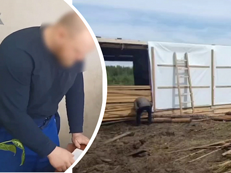 В Красноярском крае предприниматель на грант в 8 млн построил сарай для коровы вместо фермы. Фото и видео: прокуратура по Красноярскому краю