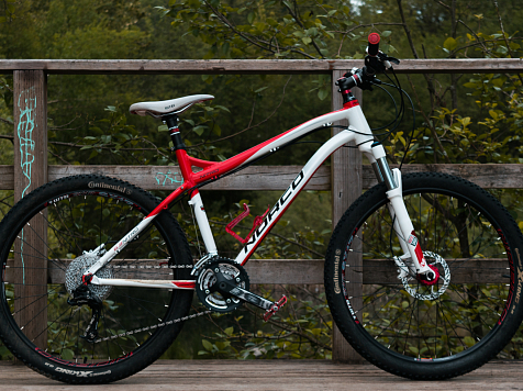 Прокат велосипед в красноярском Татышев-парке признали незаконным по требованию УФАС. Фото: unsplash.com