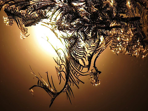 30-градусные морозы пришли в Красноярск в канун первого зимнего месяца. Фото: Дмитрий Бондарев