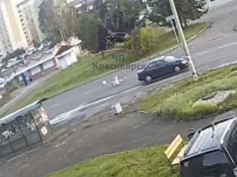 В Железногорске 62-летнюю пенсионерку жестко сбили на зебре. Фото: ЧП Красноярск