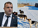 Красноярские депутаты предложили усыплять бродячих собак, которых после отлова не берут из приютов