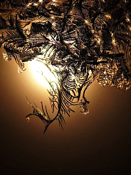 30-градусные морозы пришли в Красноярск в канун первого зимнего месяца