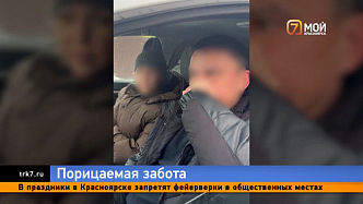 Жители «Теремка» под Красноярском изгнали подкармливающих собак людей