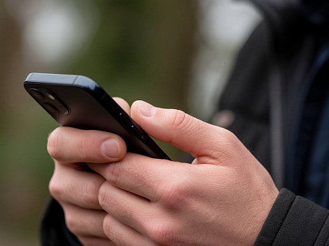 Зоозащитники устроили травлю семье погибшего от нападения собак мальчика под Красноярском. Фото: Шедеврум