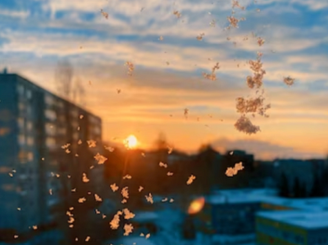 Прохладная и ветреная погода ожидается в Красноярске 21 марта. Фото: ru.freepik.com