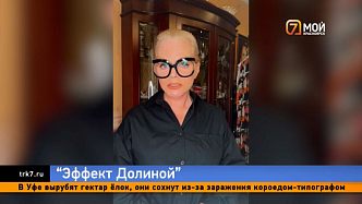 «Бабушкина» схема Ларисы Долиной набирает обороты и уже используется в Красноярске