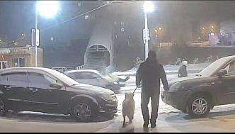 В красноярском Солнечном на «зебре» сбили 14-летнюю школьницу