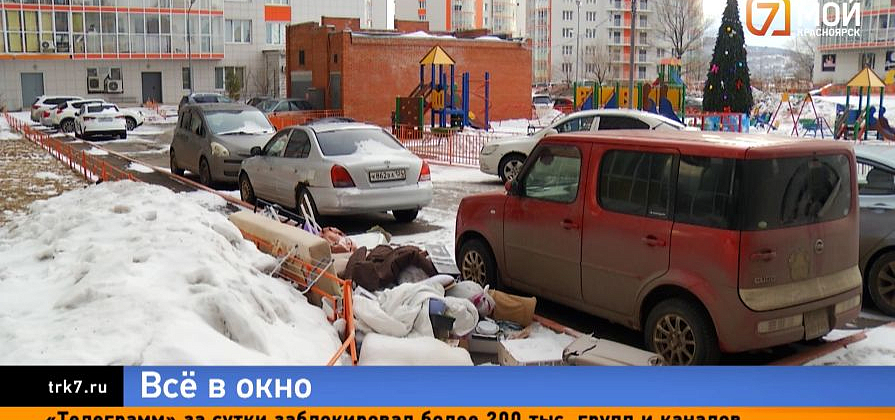 Жительница Красноярска выбросила с 14-го этажа питомцев и мебель