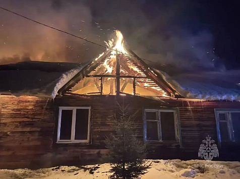 Пожар в красноярском садоводстве «Ручеек» унес жизнь человека. Фото: МЧС Красноярского края