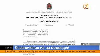Комендантский час — в Сосновоборском округе усилят патрули из-за выходов медведей
