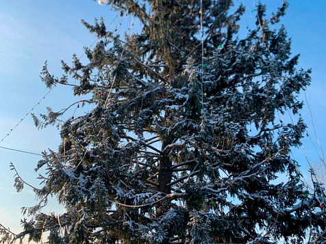 «Елки-палки»: в Енисейске установили голую елку и привязали к ней ветки. Фото: «7 канал Красноярск» /администрация Енисейска