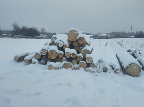 В Енисейске двое мужчин украли древесину на 100 тыс. рублей. Фото: ГУ МВД по Красноярскому краю