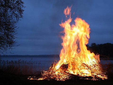 В Красноярском крае горит нацпарк «Шушенский Бор» . Фото: Pixabay
