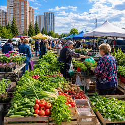Городские рынки и ярмарки: как в Красноярске развивается сезонная торговля