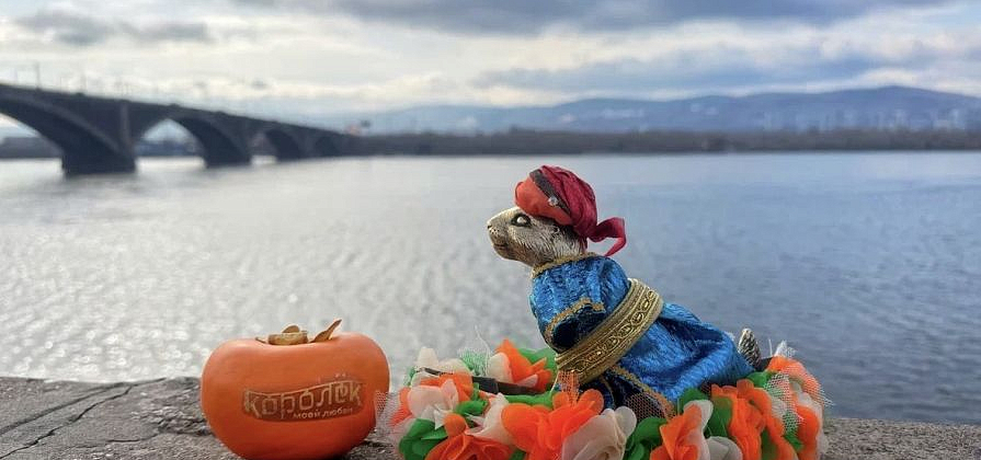 Суслики Красноярска примерили сари и тюрбаны к выходу блокбастера