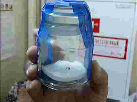 Клещи начали массово присасываться на «Столбах» и в Академе. Кадр: архив «7 канала»