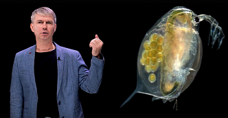 Красноярский биолог объяснил преимущества озерного планктона над человеком