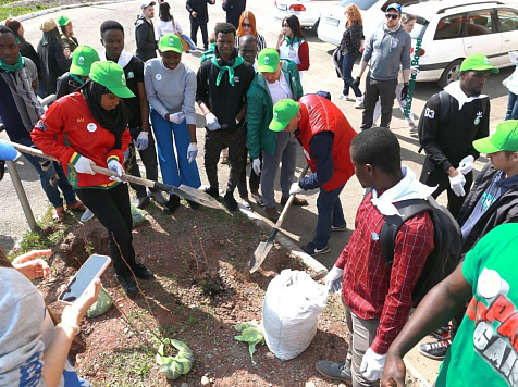 «Зелёная волна» в Красноярске прошла в Центральном, Советском и Свердловском районах. Фото: РУСАЛ