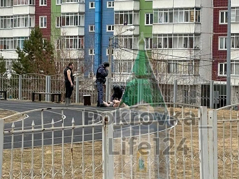 Силовики задержали возле красноярской школы полуголого неадеквата с ножом и табуреткой. Фото и видео: Pokrovka_Life124/tg.me