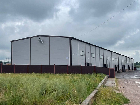 Wildberries оштрафовали за нелегальное трудоустройство красноярцев. Фото: Прокуратура Красноярского края