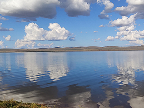 Озеро Шира стало менее солёным из-за изменений климата. Фото: СФУ
