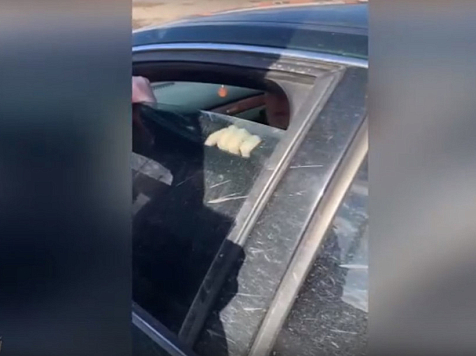 Красноярца арестовали за отказ от проверки тонировки машины. Фото, видео: ГИБДД