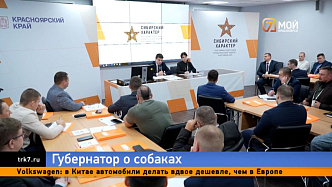 Михаил Котюков прокомментировал проблему бродячих собак в Красноярском крае