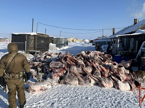 На Таймыре силовики поймали злостного браконьера. Фото: Росгвардия по&nbsp;Красноярскому краю