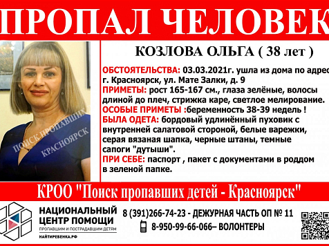 В Красноярске почти две недели ищут пропавшую беременную женщину. Фото: vk.com/poiskdeteikrasnoyarsk