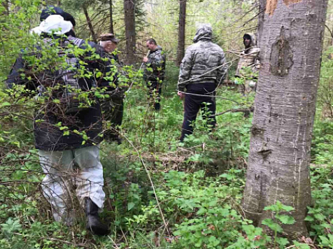 В Красноярском крае нашли пропавшего в лесу мальчика. Фото, видео: 24.мвд.рф