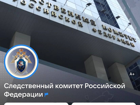 Более 60 многодетных семей из Сосновоборска написали в ВК главе Следкома России и попросили решить проблемы с землёй