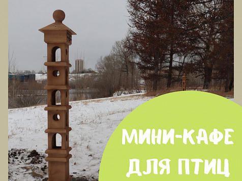 В красноярском Татышев-парке установили мини-кафе для птиц. Фото: vk.com/ostrovtatyshev