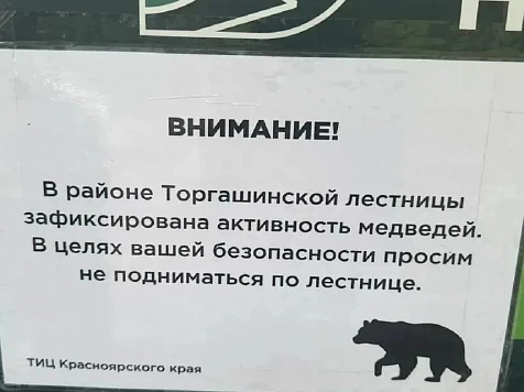 В Красноярске закрыли Торгашинскую лестницу из-за угрозы нападения медведей. фото: мэрия Красноярска