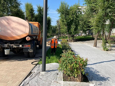 Власти Красноярска выделили 30 миллионов на полив кустов. Фото: Администрация Красноярска