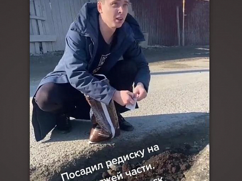 В Красноярске дорожный ремонт вот-вот, а на Сахалине в уличной яме посадили редис. Фото: tiktok.com/@vladimirilin1988