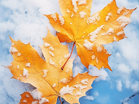 Немного потеплеет и пойдет снег. Фото: Freepil