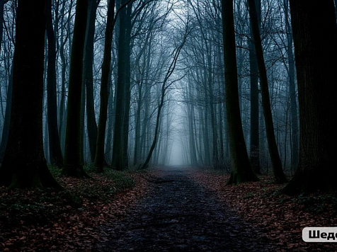 Семья из трех человек без вести пропала в Красноярском крае . Фото: Шедеврум