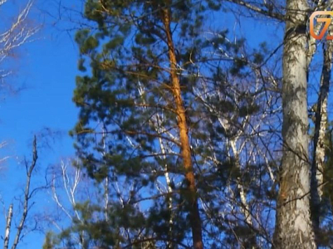 Представитель «Долины Менделеева» опроверг слухи о переработке радиоактивных руд в Красноярске