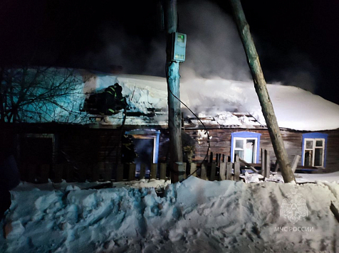 В Красноярском крае два человека погибли в ночном пожаре. Фото: МЧС по краю
