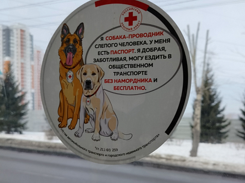 В автобусах Красноярска появились таблички о собаках-поводырях после скандала со слепым в шаурмичной