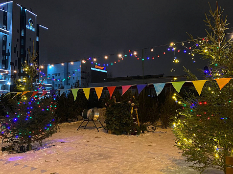 В Центральном районе Красноярска начали принимать заявки на участие в продаже новогодних ёлок. Фото: администрация Красноярска