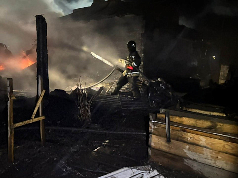 «Тушили почти всем сельсоветом»: 400 племенных птиц сгорели в деревне Новая Солянка Красноярского края. Фото: МЧС края