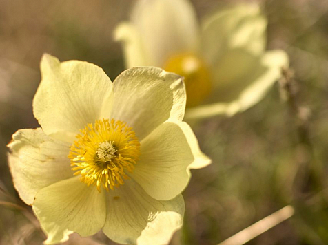 В Красноярске в нерабочую пятницу обещают теплую, но облачную погоду . Фото: Сергей Токарев