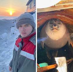 Метеоролог из Сочи рассказал о работе на мысе Челюскин и дружбе с нерпой