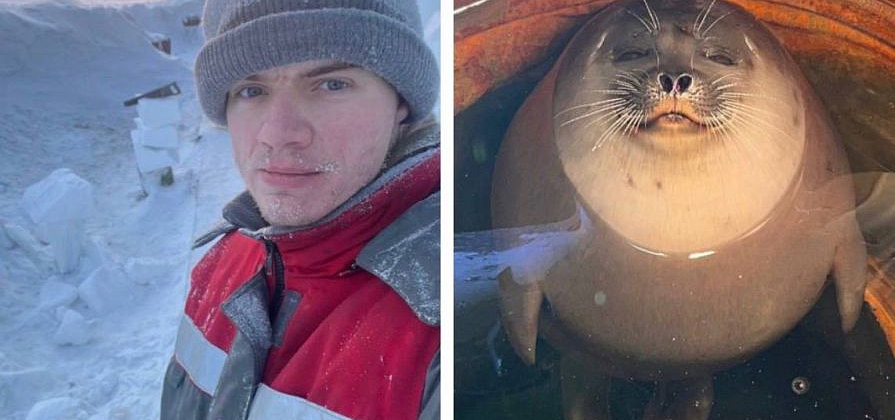 Метеоролог из Сочи рассказал о работе на мысе Челюскин и дружбе с нерпой