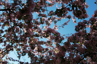 В Красноярск грядет 30-градусная жара на выходных