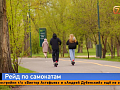 207 ДТП с самокатами с начала сезона — красноярцев штрафуют и блокируют аккаунты